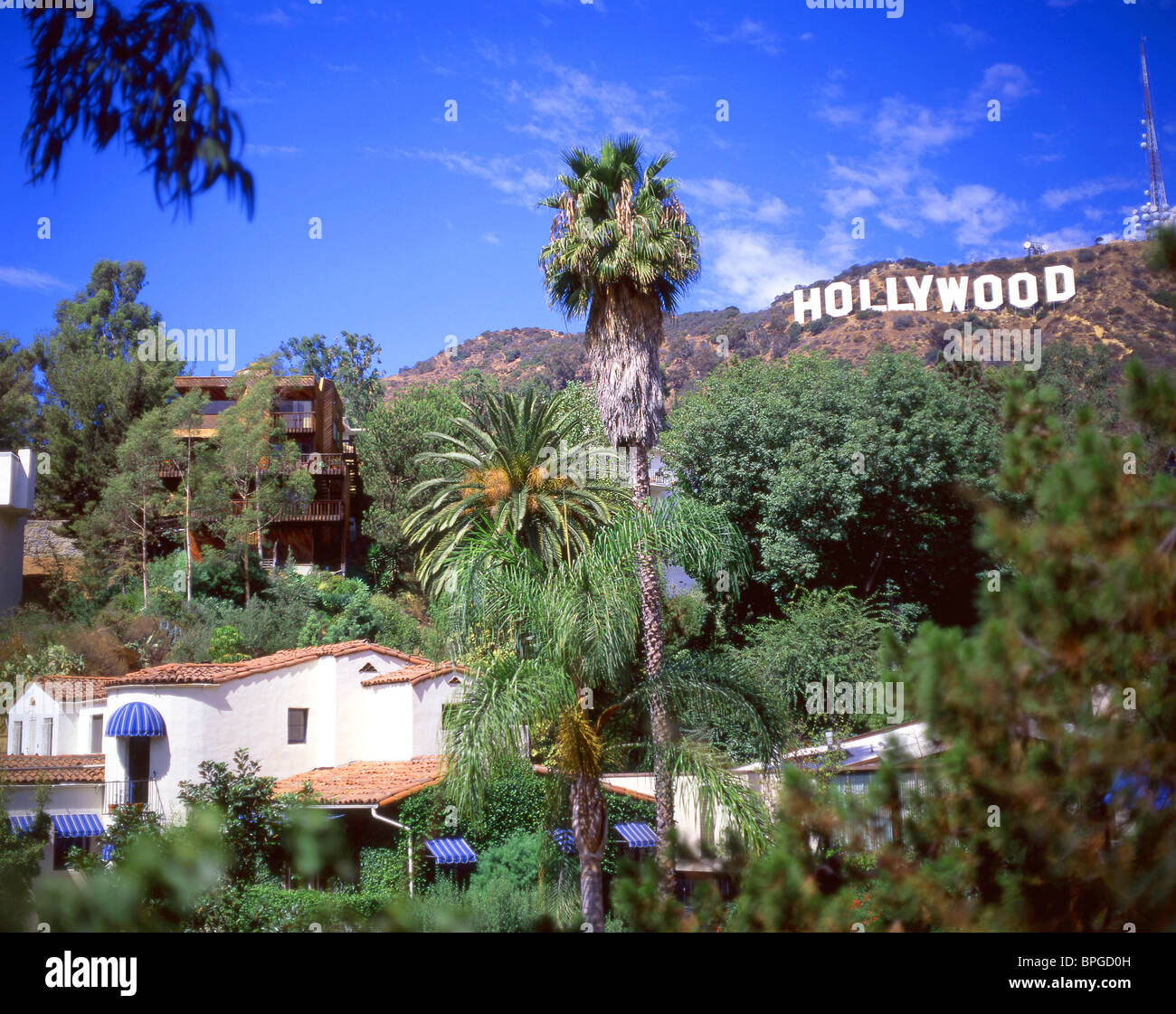 Weltberühmten Hollywood Zeichen, Hollywood Hills, Hollywood, Los Angeles, Vereinigte Staaten von Amerika Stockfoto