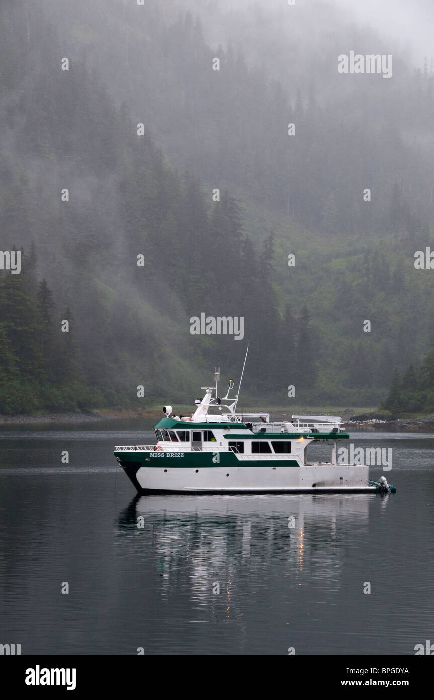 Angelboot/Fischerboot im Prince William Sound, Alaska, Snug Harbor, Ritter Insel verankert. Stockfoto