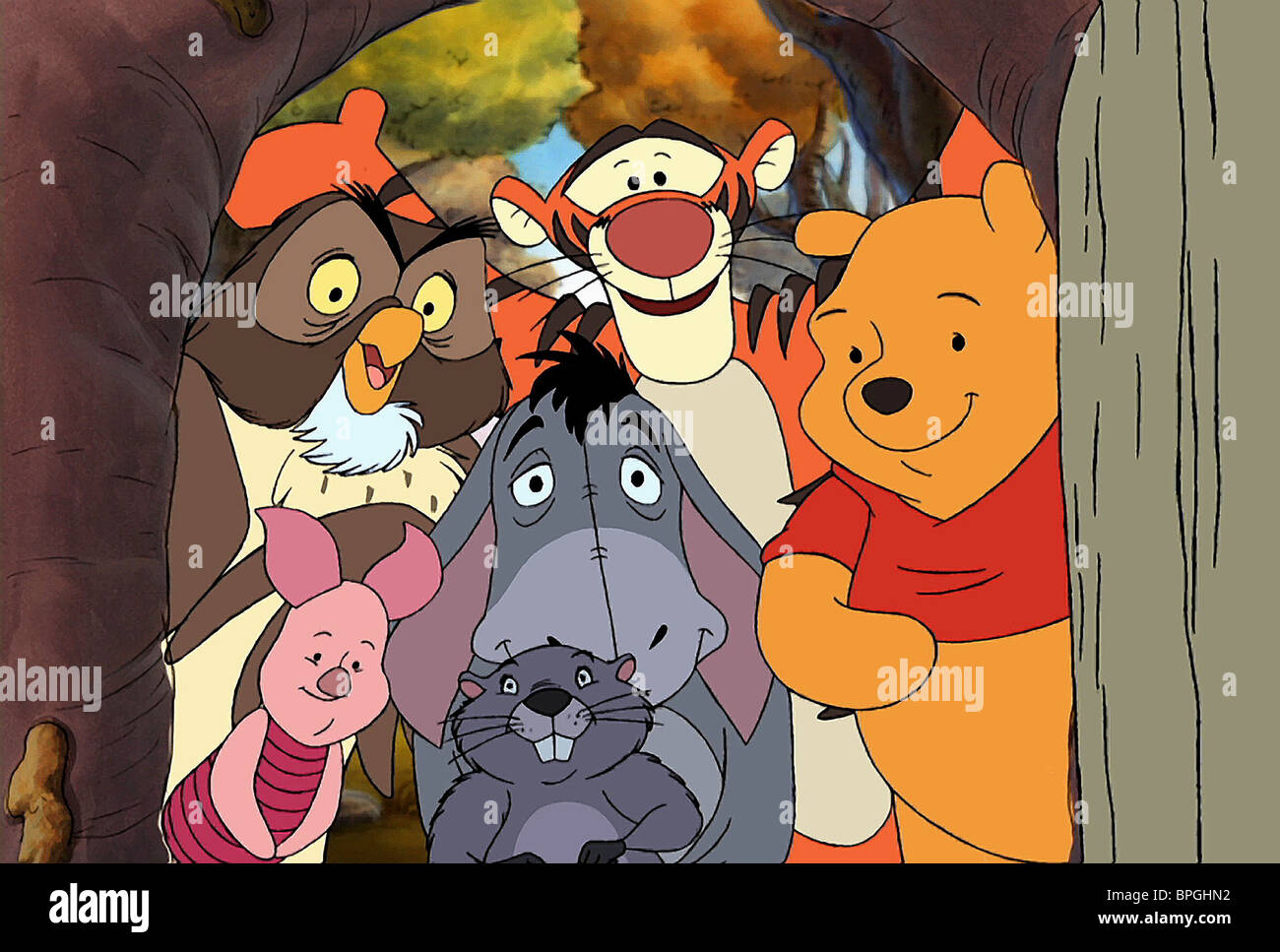 Ist Winnie Pooh Ein Mädchen Oder Ein Junge