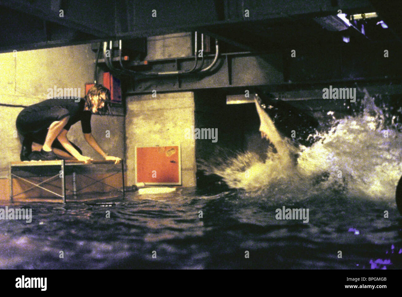 Deep Blue Sea 1999 Saffron Burrows Stockfotos und bilder Kaufen Alamy
