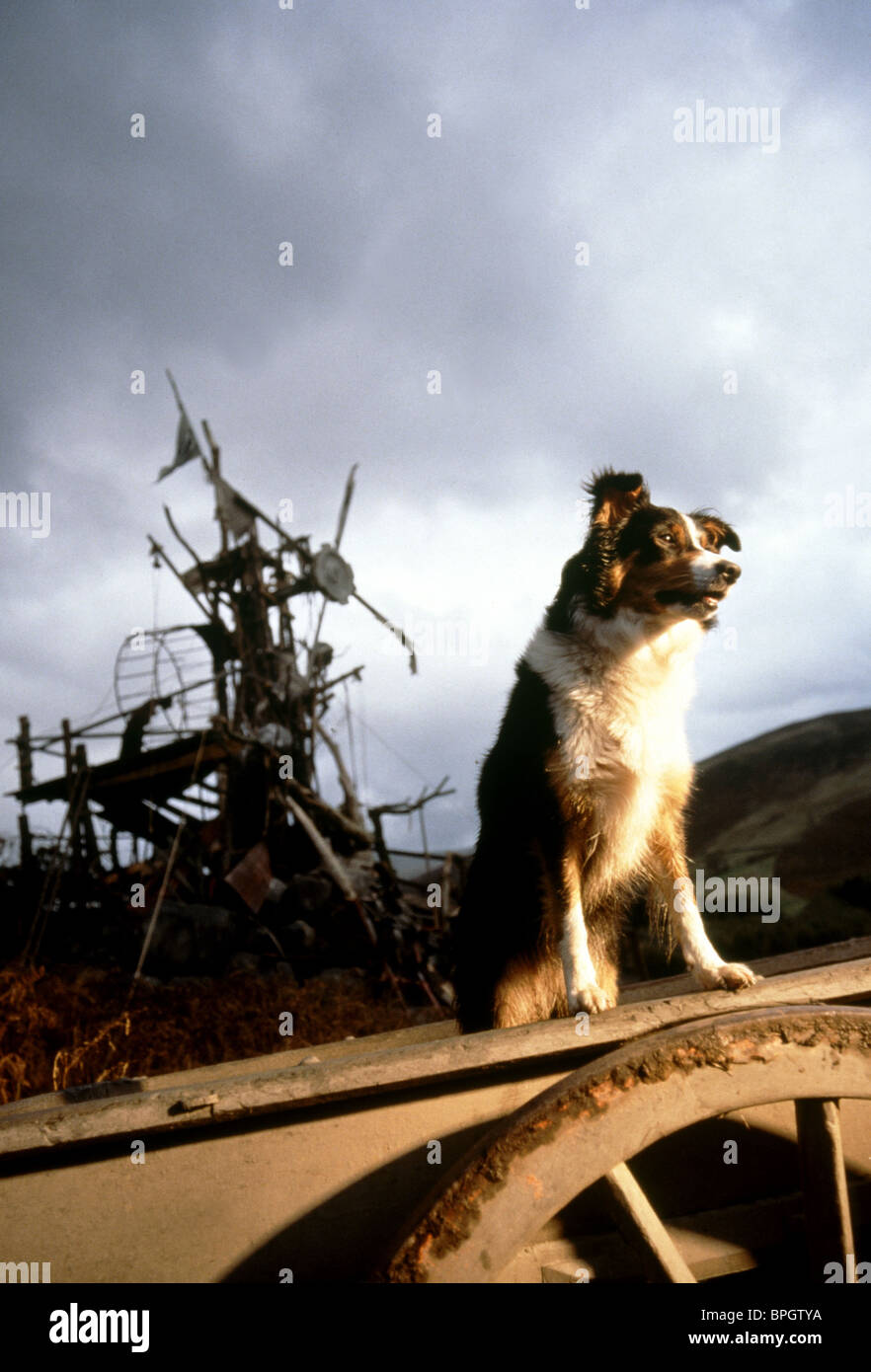 JESSIE ANIMAL FARM 1999 Stockfotografie Alamy