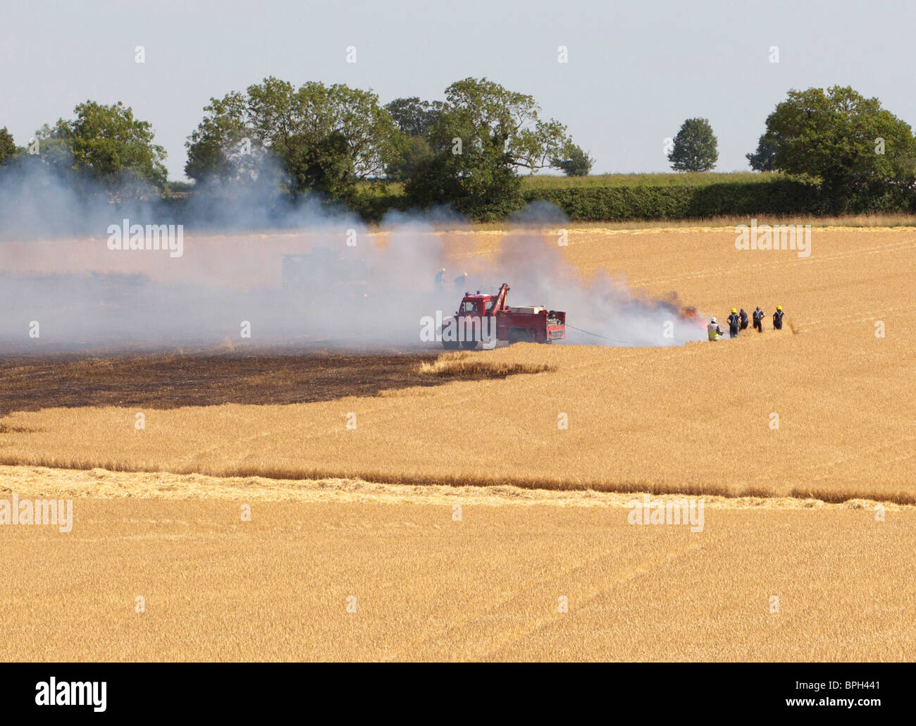 Ein Feld Feuer in Suffolk, UK Stockfoto