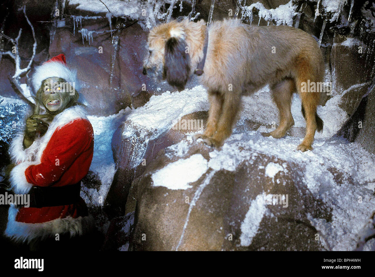 JIM CARREY, MAX DER HUND, Wie der Grinch Weihnachten gestohlen hat, 2000  Stockfotografie - Alamy