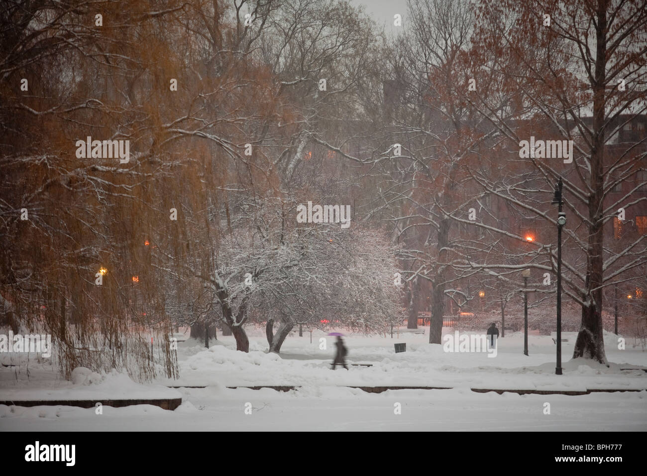 Schnee bedeckt öffentliche Park im Winter, Boston Public Garden, Boston, Suffolk County, Massachusetts, USA Stockfoto