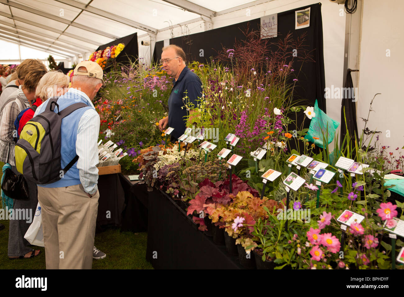 Großbritannien, England, Merseyside, Southport Flower Show, Grand Floral Festzelt, Besucher am Stand der Anlage Stockfoto