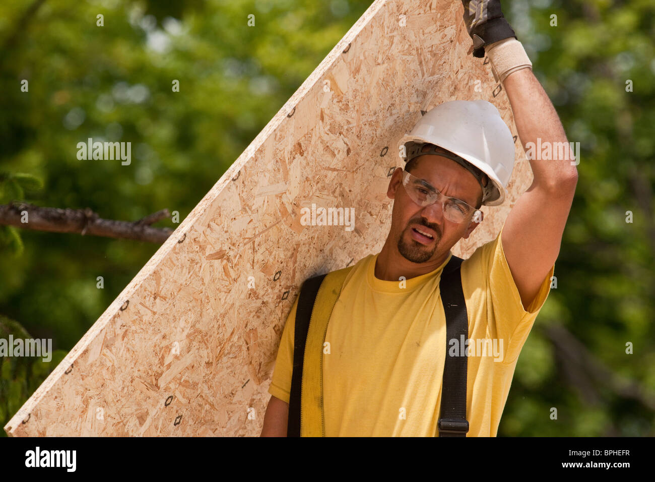 Zimmermann, die Durchführung einer Spanplatte Stockfoto