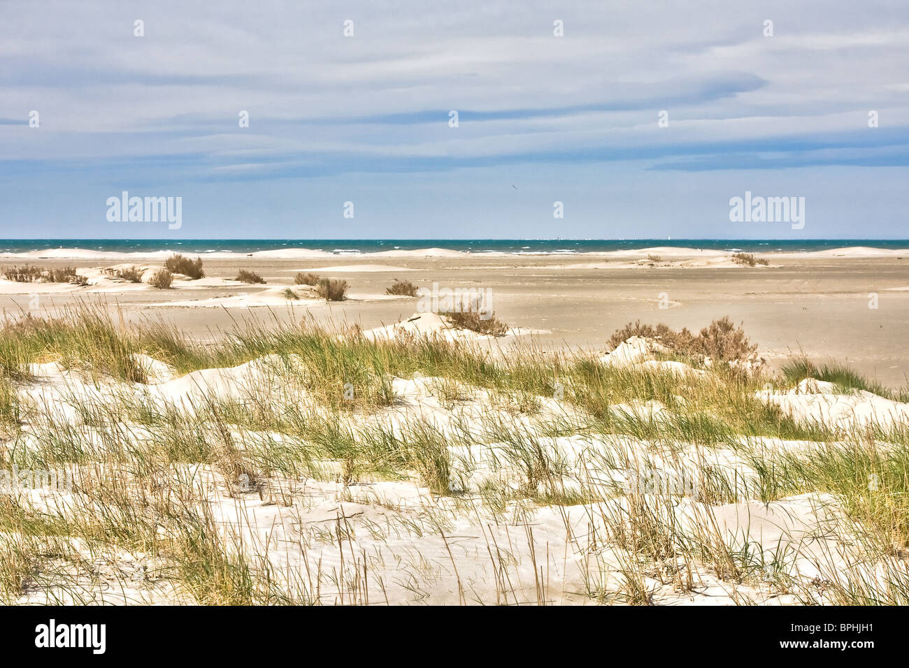 Sanddünen in der Camargue in Frankreich. Stockfoto