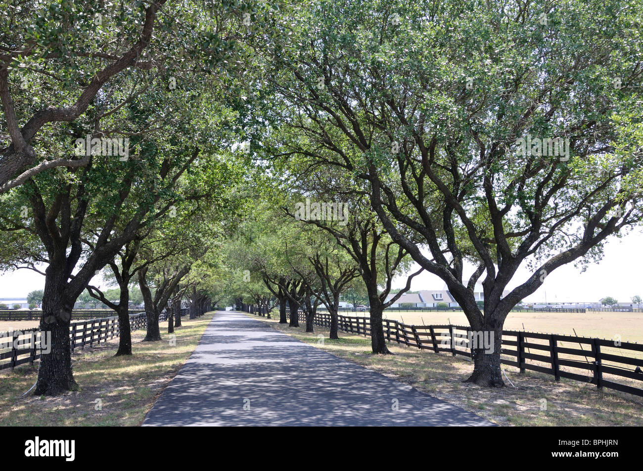 Southfork Ranch, Texas, USA - Form beliebten TV-Serie "Dallas" Stockfoto