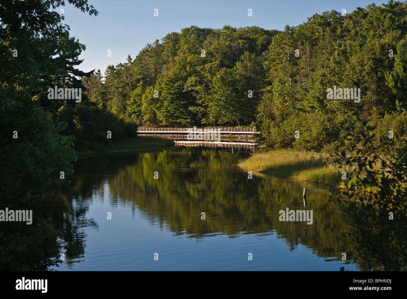 Sable River in Michigan Landschaft bei Sonnenaufgang mit Bäumen reflektiert im Wasser öffentlicher Garten niemand Hi-res Stockfoto