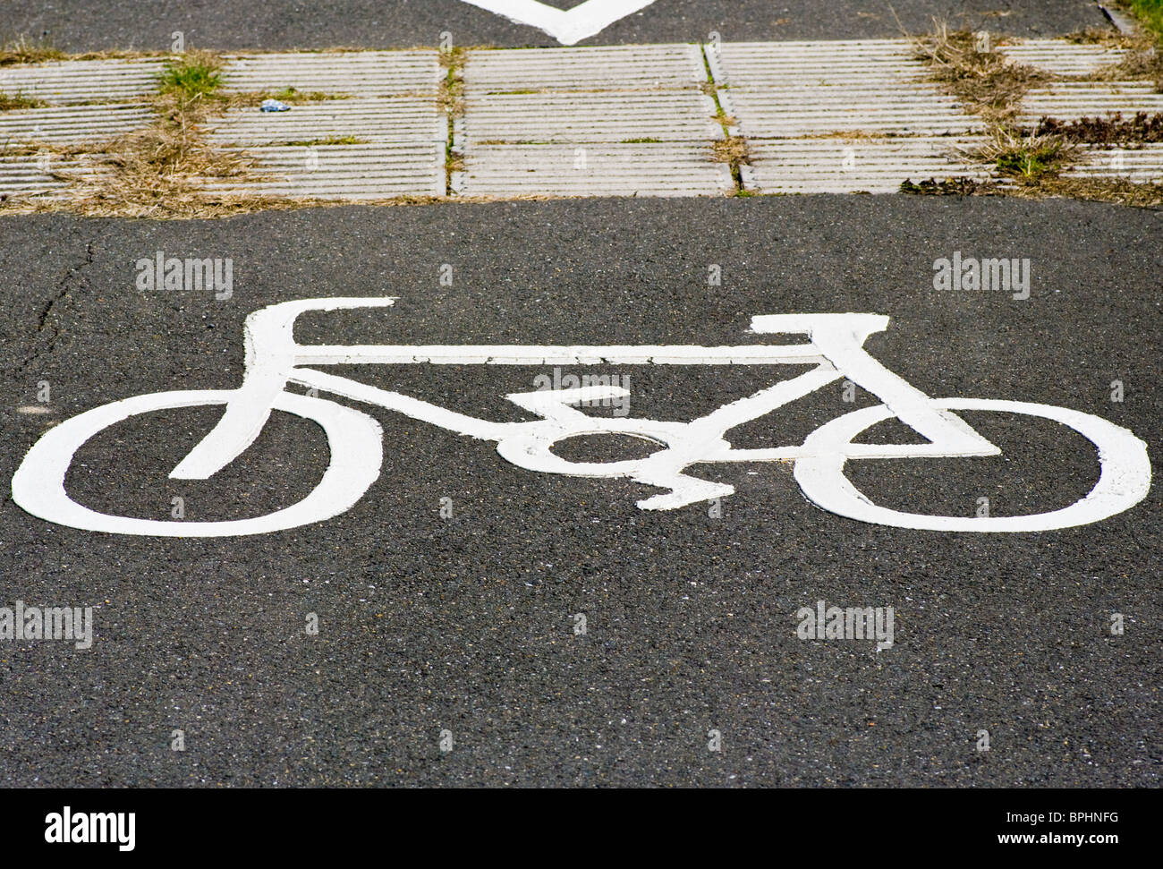 Lane Schild gemalt auf einem Pflaster-Zyklus Stockfoto