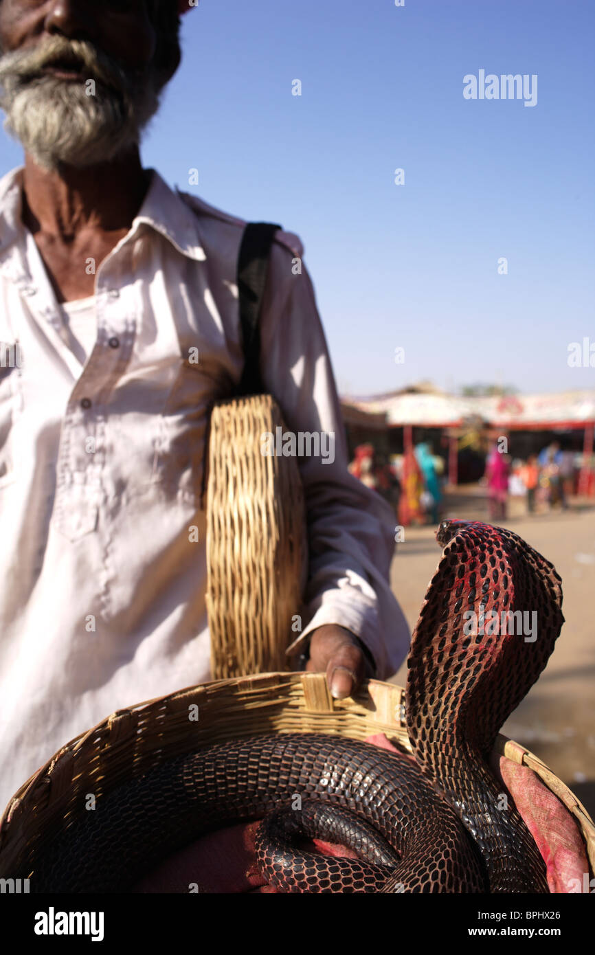 Snake Charmer, Pushkar Rajasthan, Indien. Stockfoto