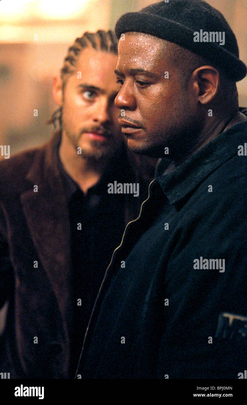 Panic Room Jared Leto Forest Stockfotos Panic Room Jared
