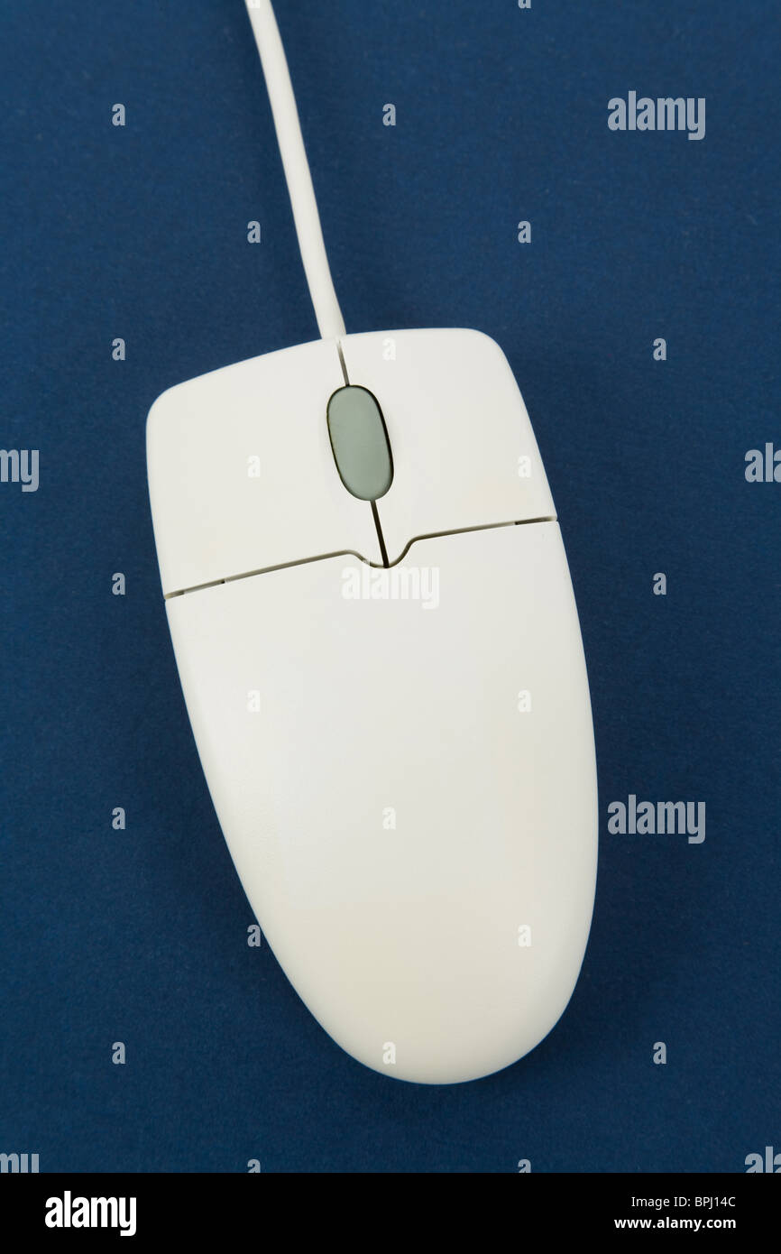 Computer-Maus mit blauem Hintergrund Stockfoto