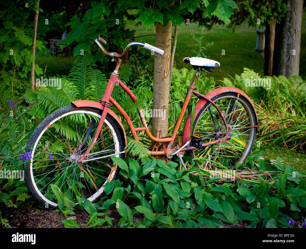 Rotes Fahrrad an Baum gelehnt Stockfoto