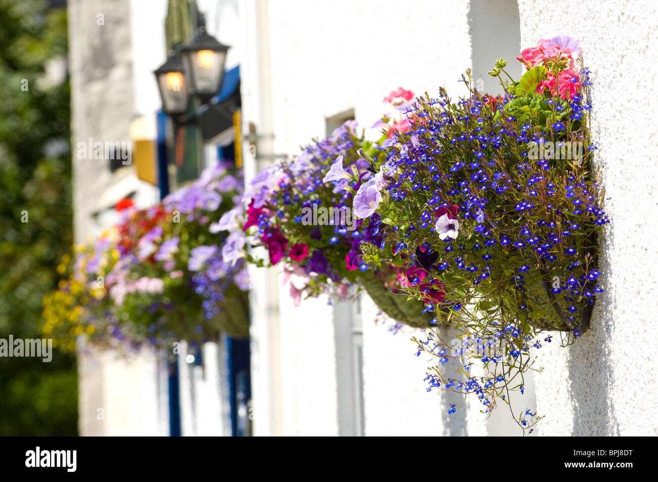 Hängenden Körben von Blumen Stockfoto