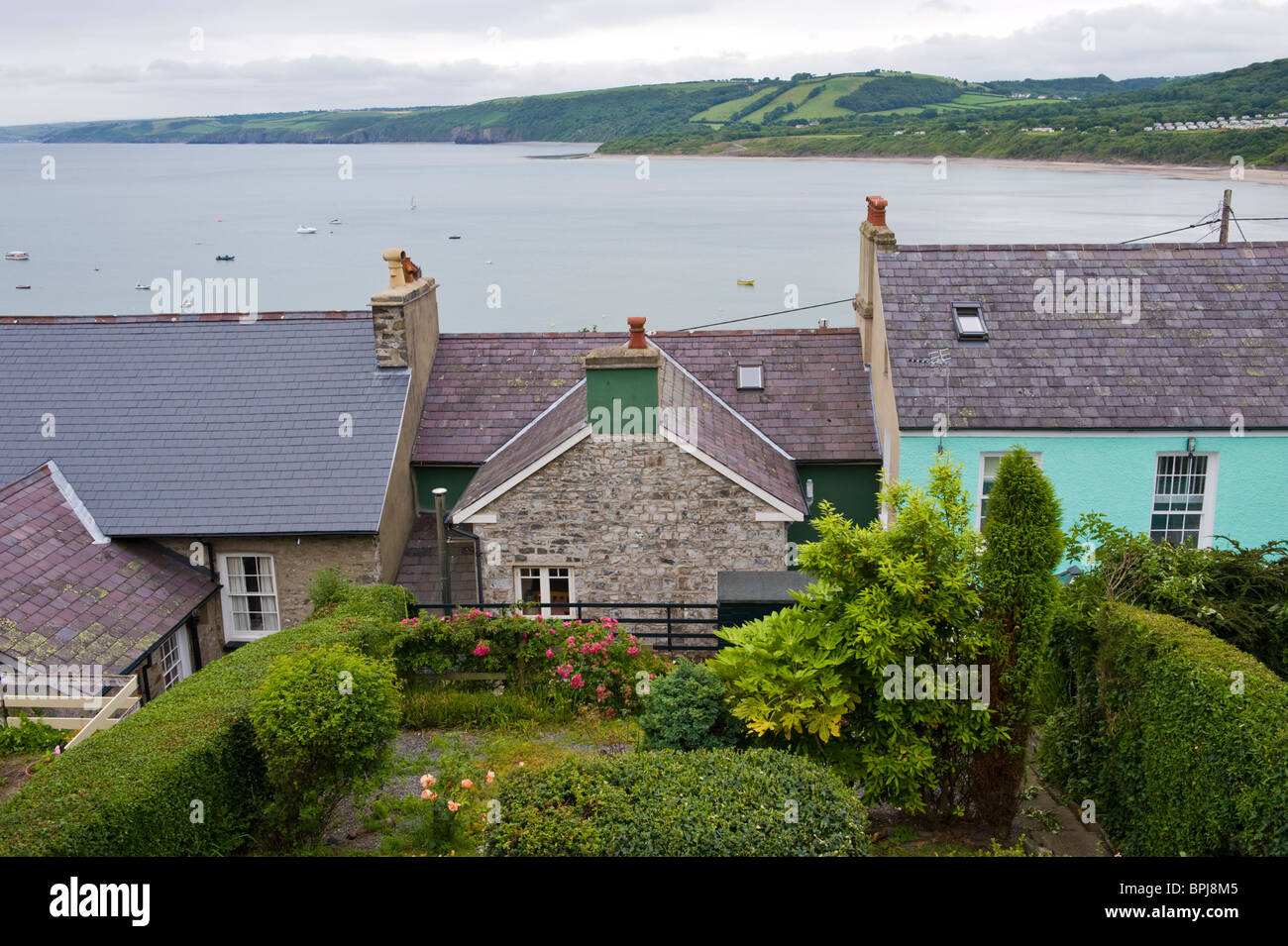 Malerische Aussicht auf Rückseite der Häuser in der Urlaub am Meer Stadt von New Quay Ceredigion West Wales UK Stockfoto