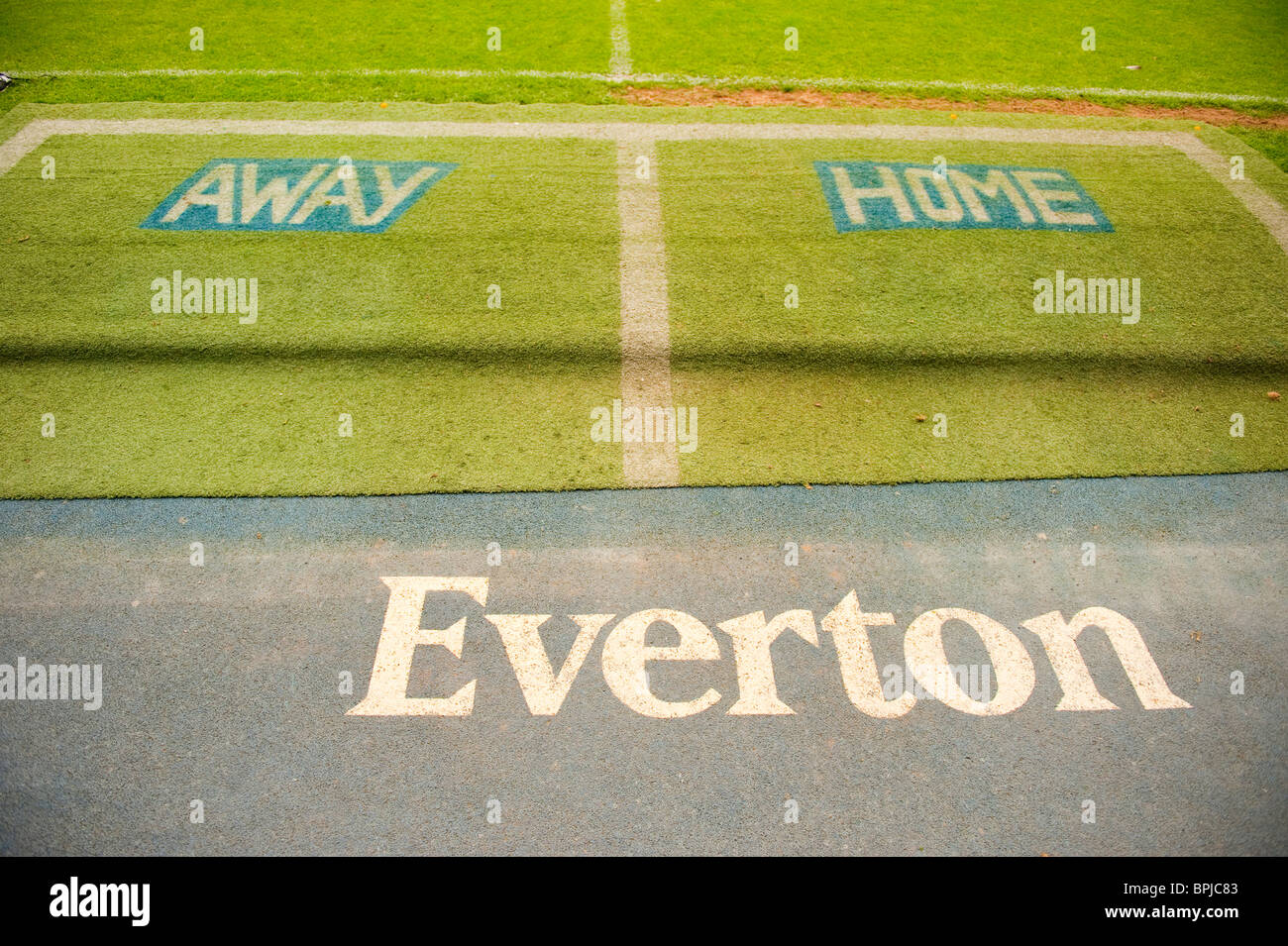 Blick vom Spieler Tunnel Goodison Park Everton Football Club EFC Stockfoto