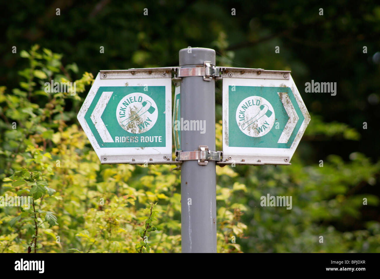 Wegweiser für Icknield Way Stockfoto