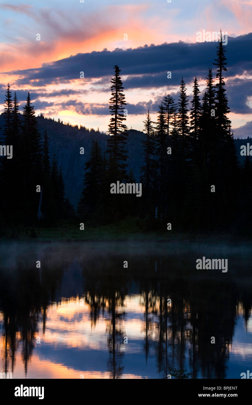 Sonnenaufgang am Reflection Lake, Drehkiefern, Mt. Rainier-Nationalpark, Washington, USA Stockfoto