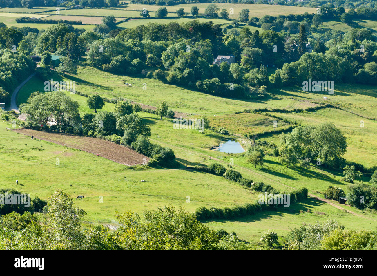 Blick von Painswick Beacon, Gloucestershire, Cotswolds, UK Stockfoto