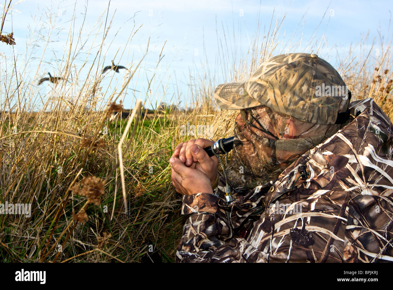 Jäger in Tarnkleidung mit Gans Anruf um eingehende paar Gänse in der Nähe von grasigen Graben Blind zu bringen Stockfoto