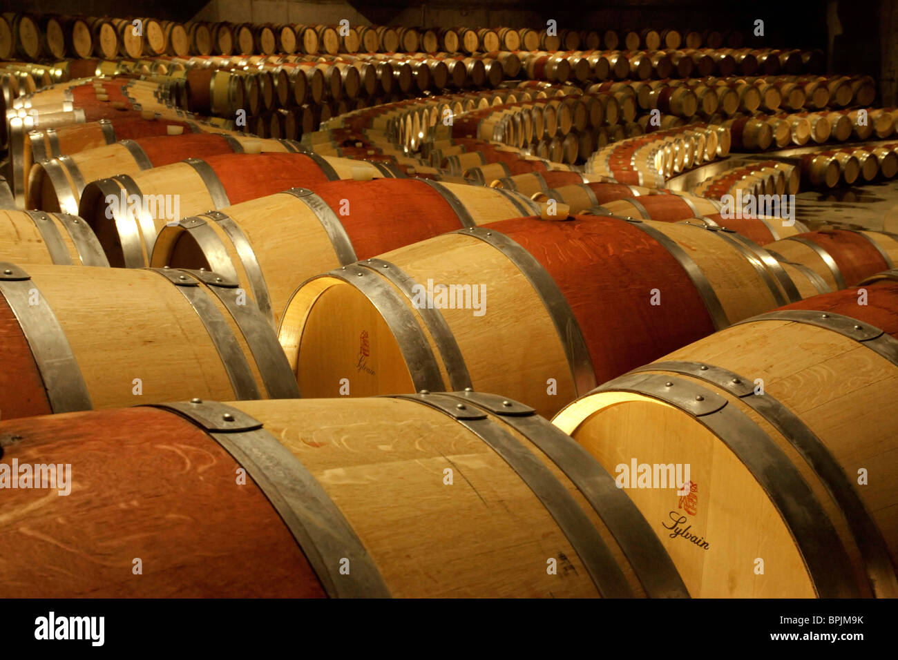 Südamerika, Chile, Colchagua. Weinfässer im Keller des Montes-Weingut. Stockfoto