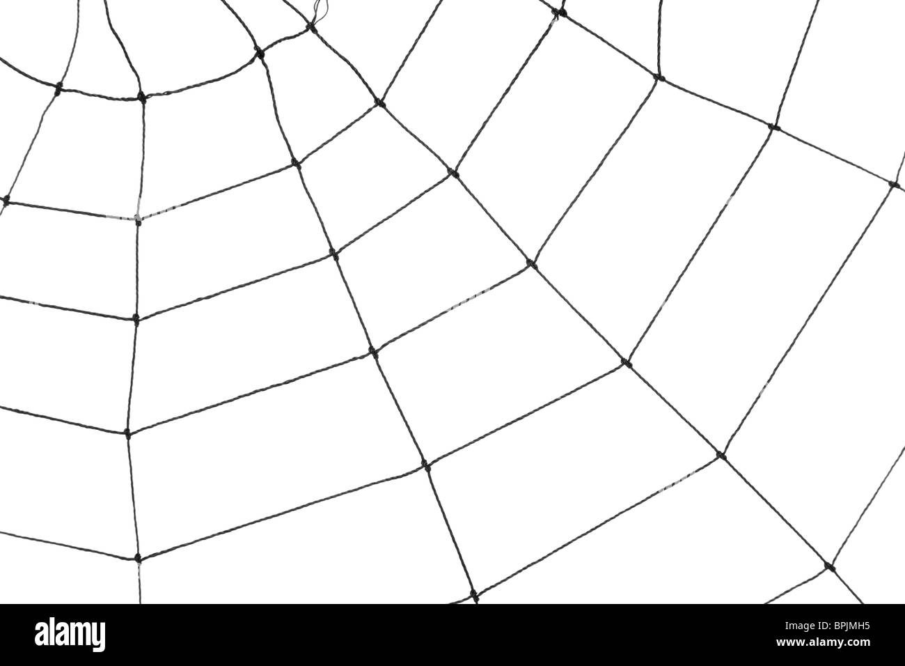 Spinnennetz für Nutzung im Hintergrund Stockfoto