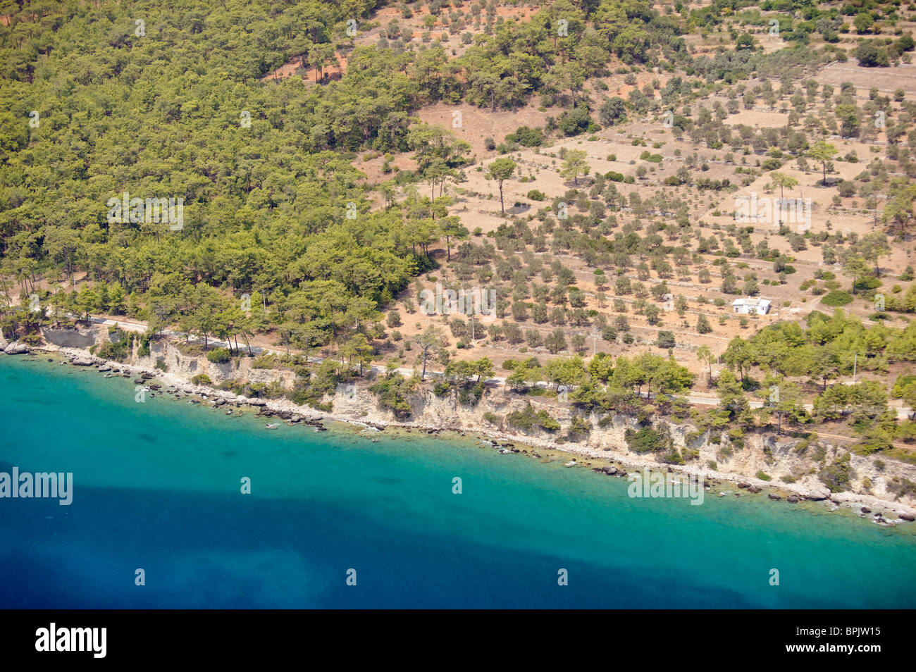 Luftaufnahme des menschlichen Einflusses auf natürliche Küstenvegetation Oliven-Plantagen Gökova-Türkei Stockfoto