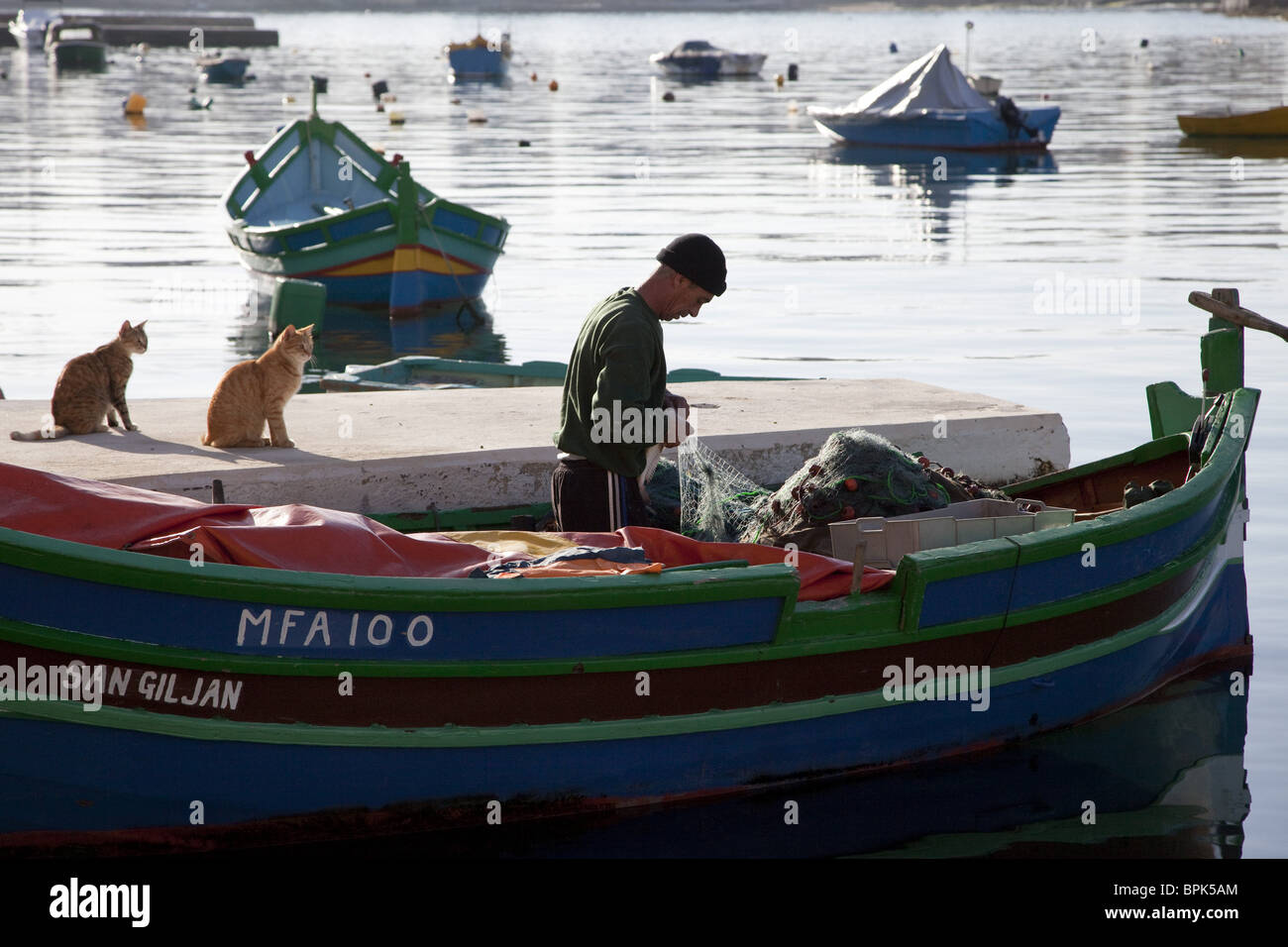 Zwei Katzen und ein Fischer in einem traditionellen Fischerboot, ein Luzzu bei Spinola Bay, St. Julians, Malta, Europa Stockfoto