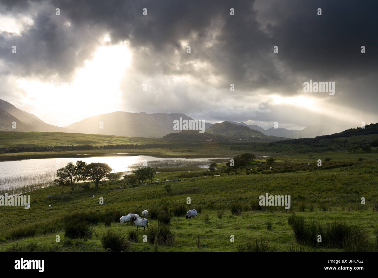 Lough Corrib, Connemara, Co. Galway, Irland, Europa Stockfotografie - Alamy