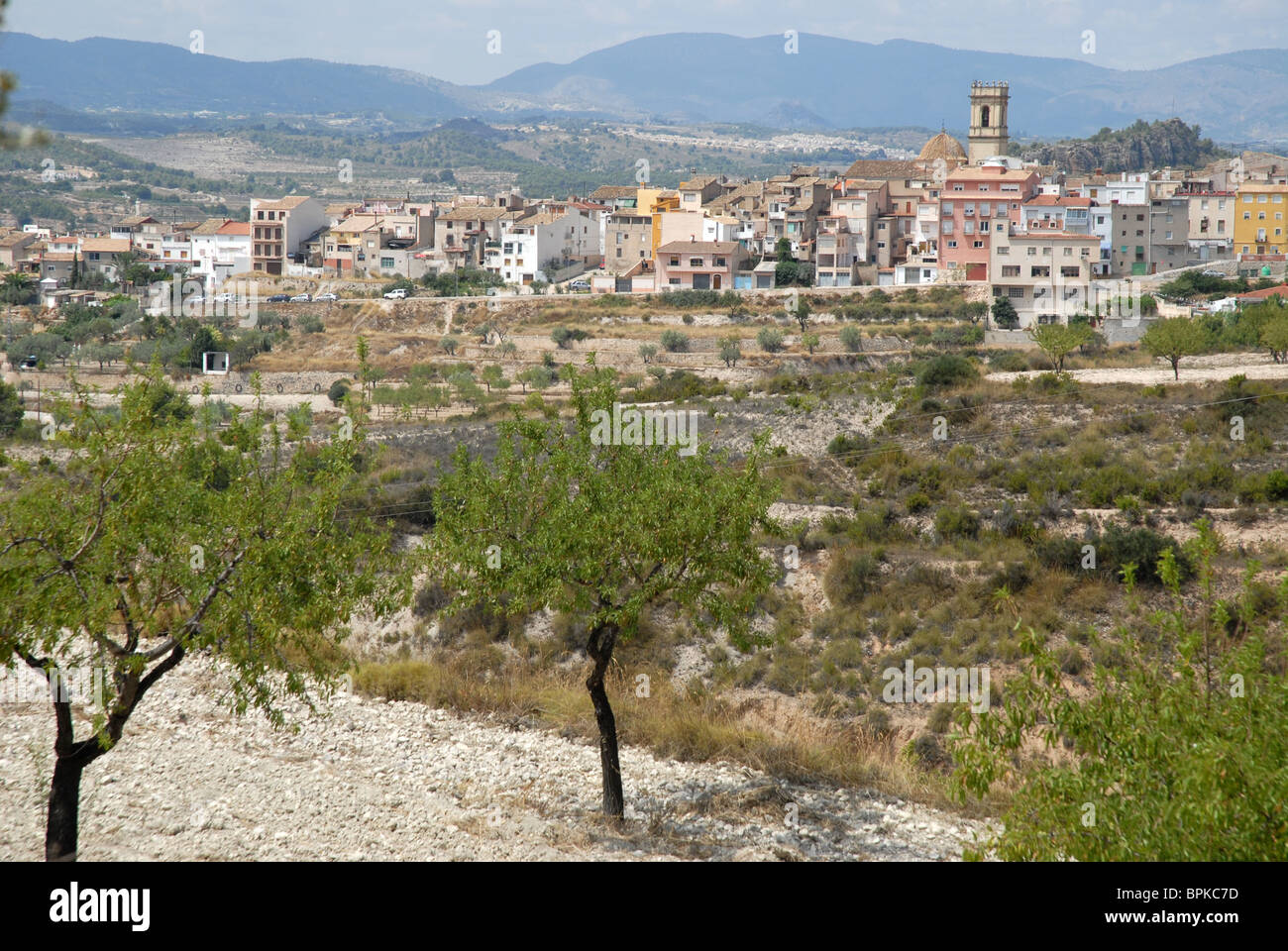 Mandel Obstgarten und Blick auf Tibi, Provinz Alicante, Comunidad Valencia, Spanien Stockfoto
