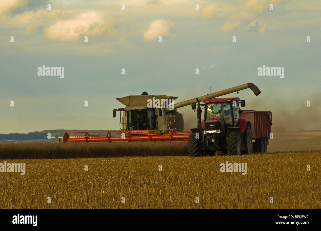 Ein Mähdrescher sammelt die Ernte, North Yorkshire Stockfoto