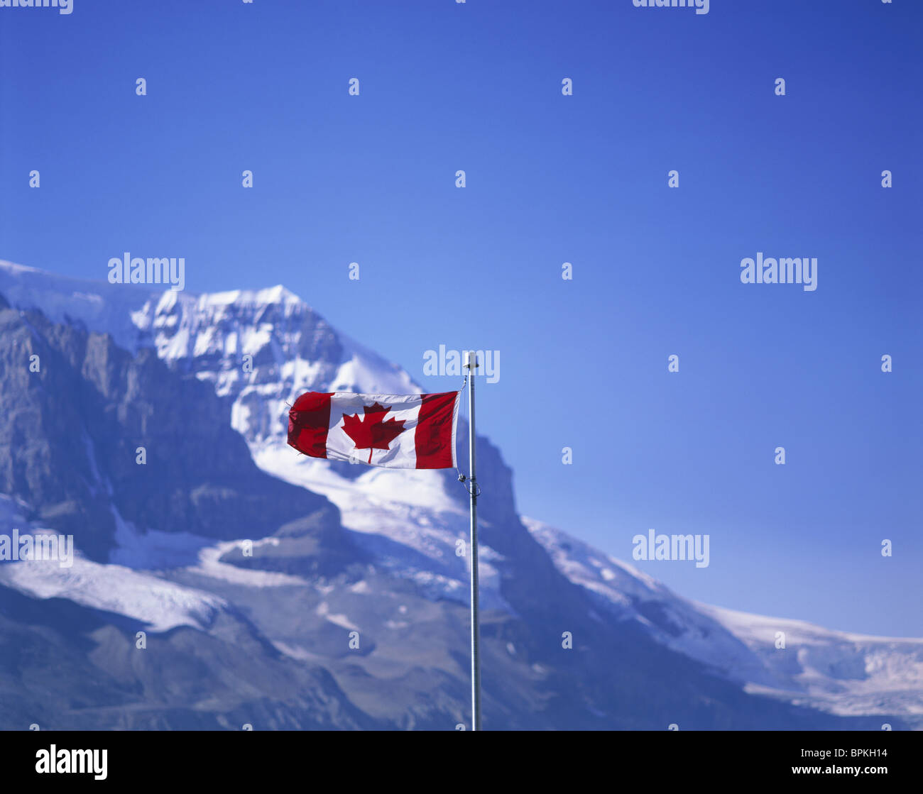 Kanadische Flagge, Alberta, Kanada Stockfoto