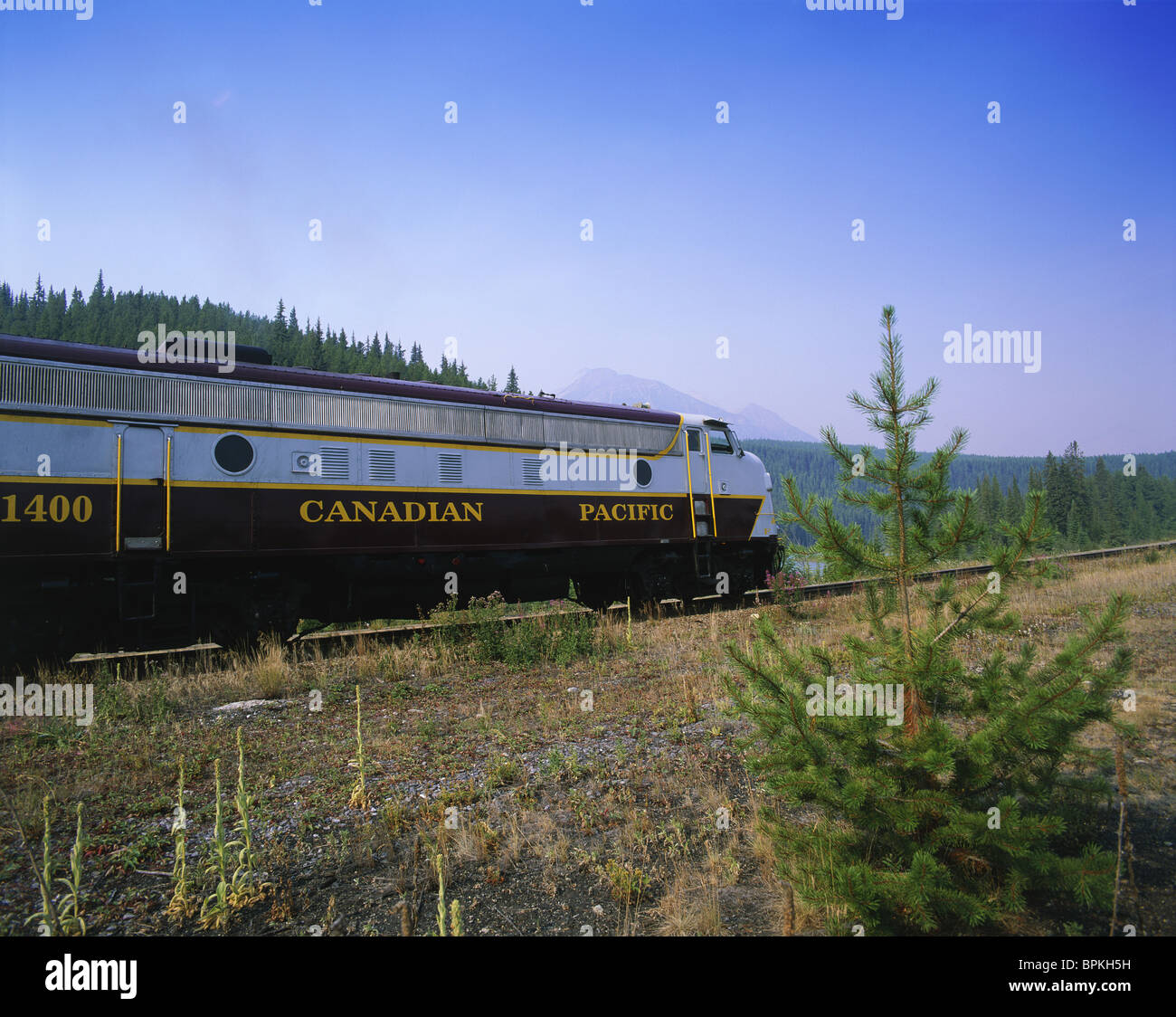 Canadian Pacific Railway, Alberta, Kanada Stockfoto