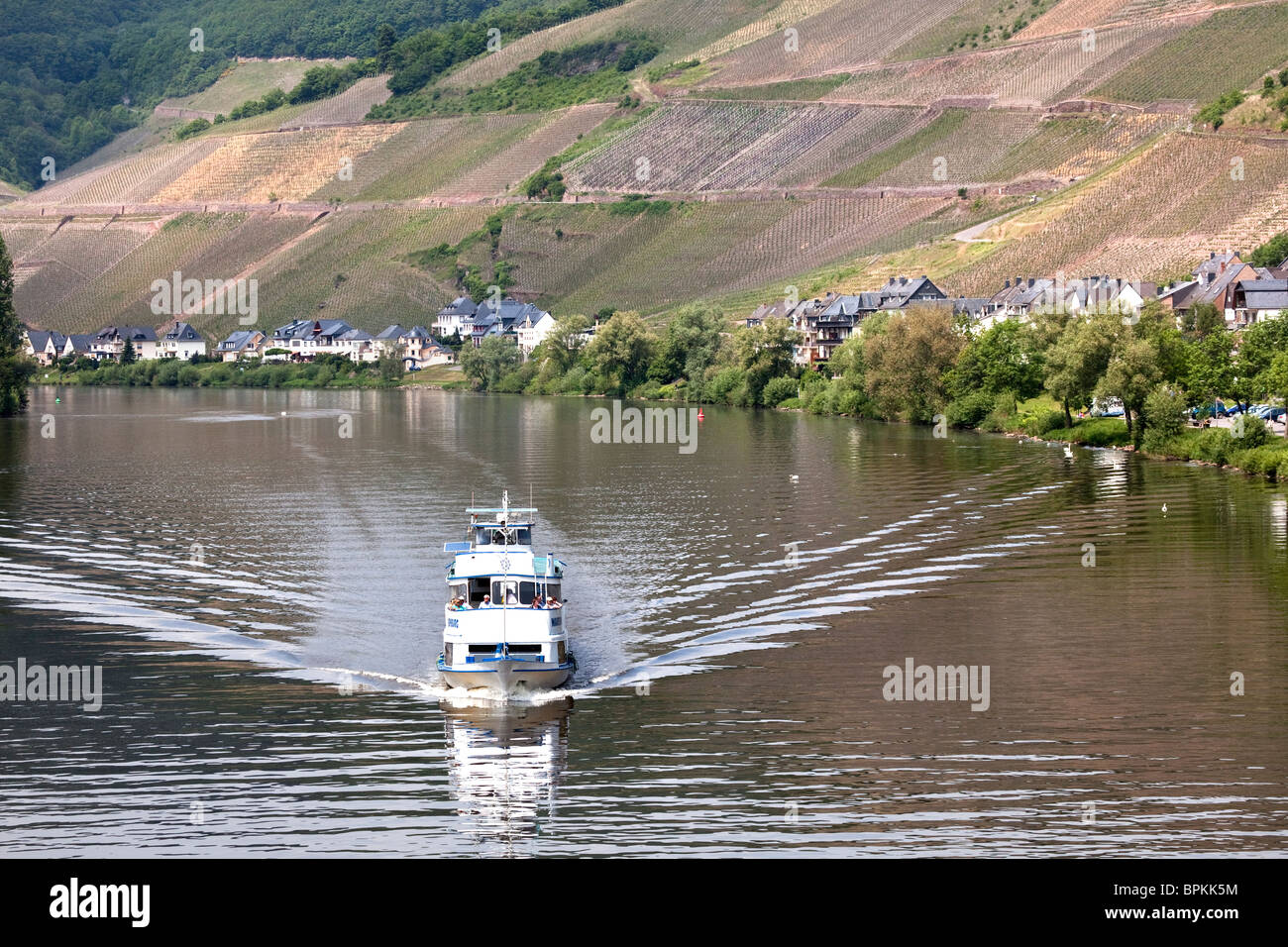 River Cruise Boot an der Mosel in der Nähe von Zell, Moseltal, Deutschland Stockfoto