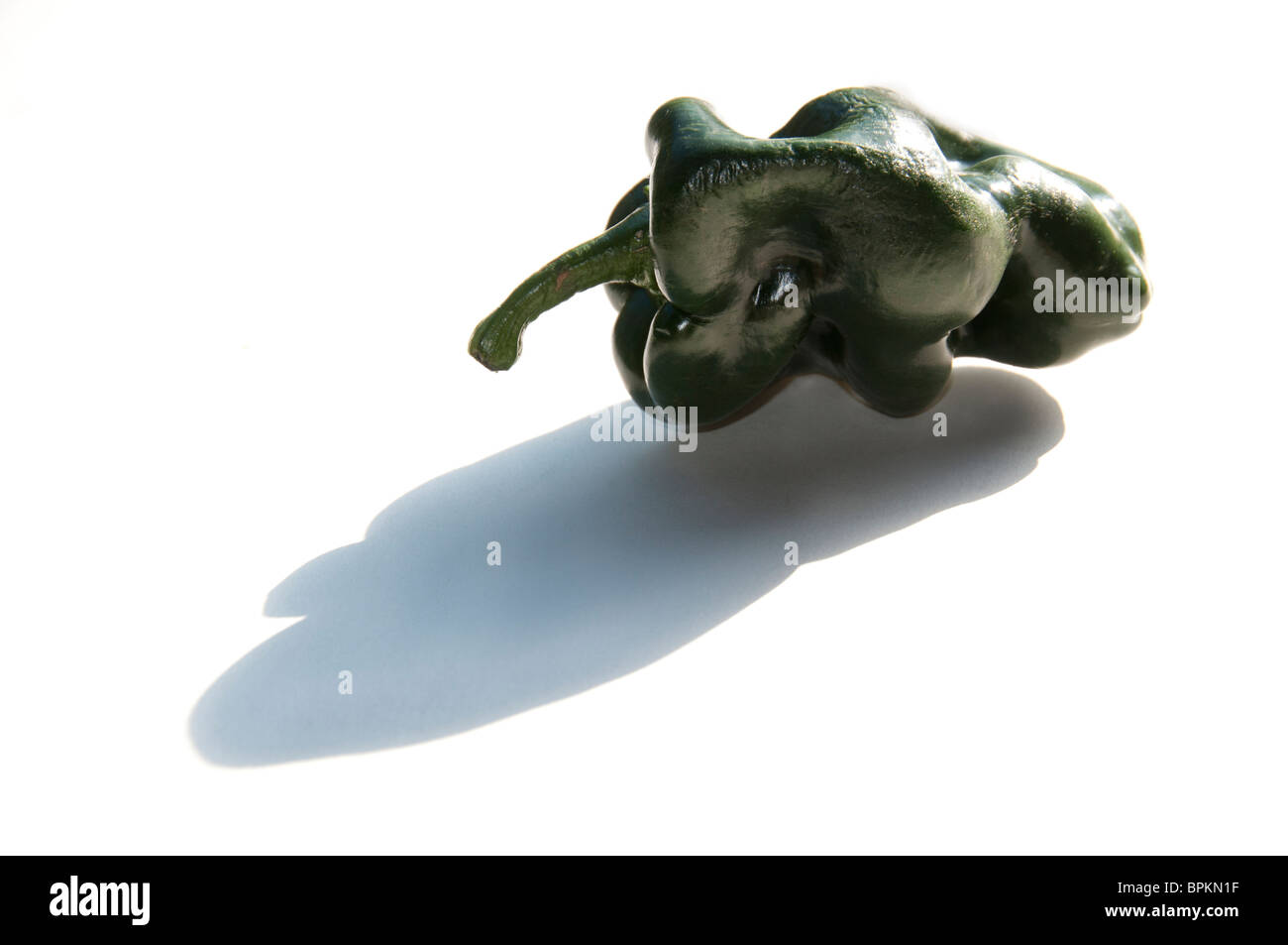 Poblano Pfeffer. Stockfoto