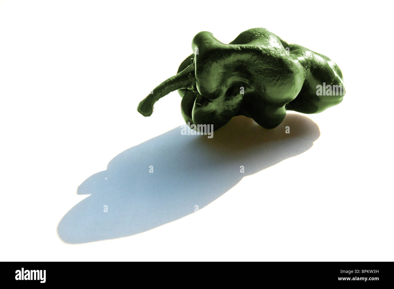 Poblano Pfeffer. Stockfoto