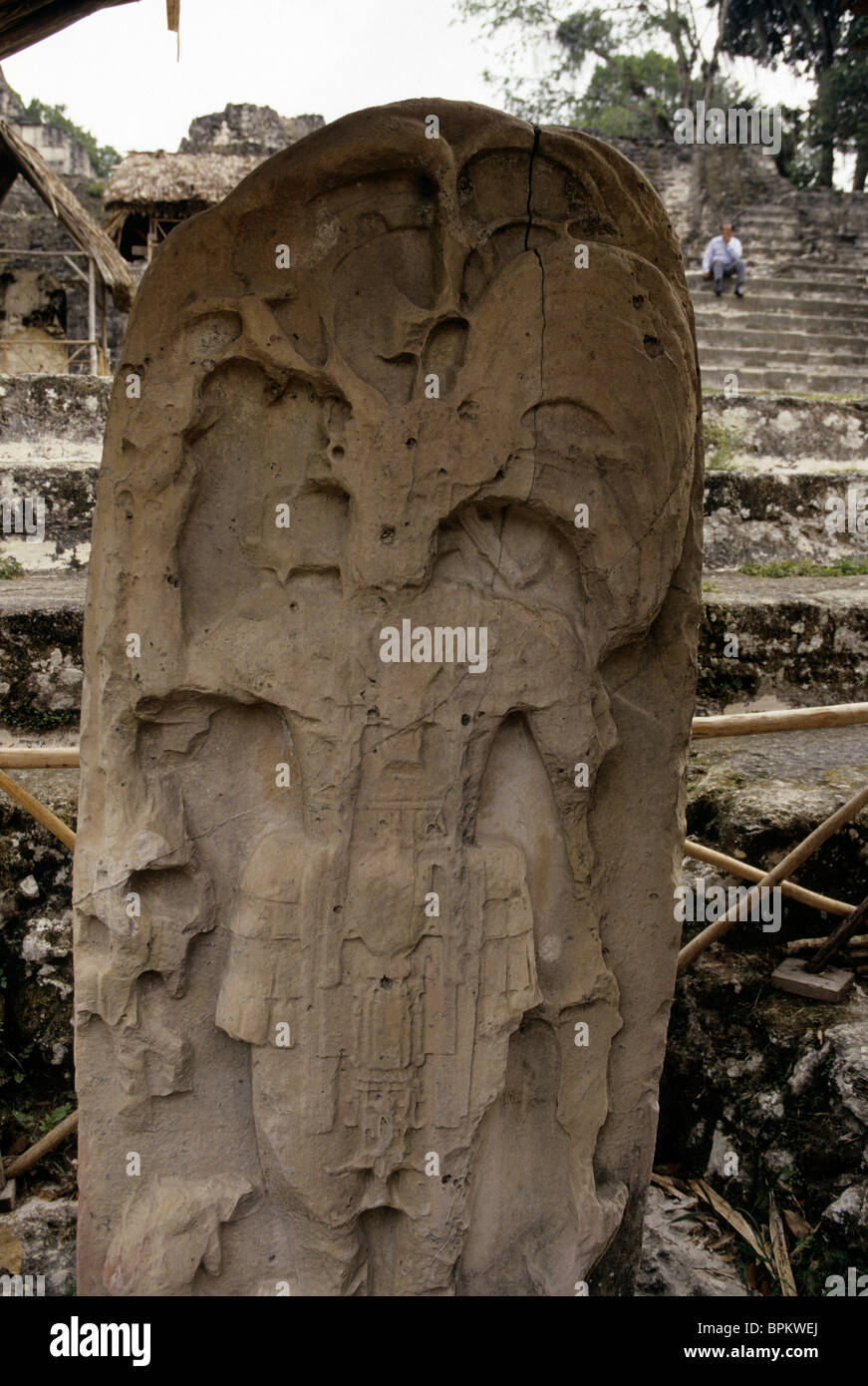 Stelen in UNESCO World Heritage Maya-Ruinen von Tikal-Tikal National Park, Guatemala. Stockfoto