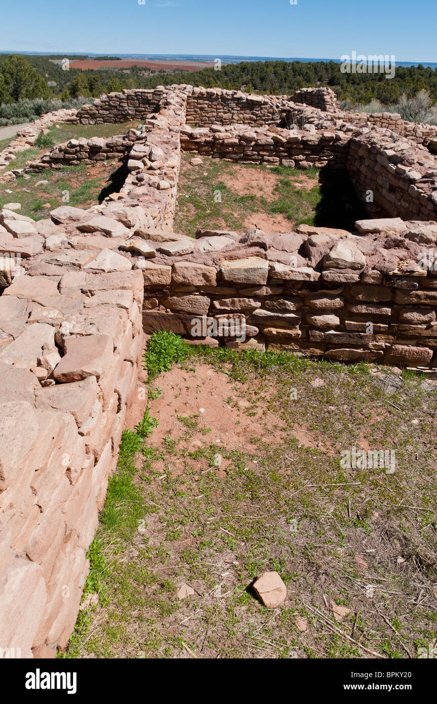 Lowry-Pueblo-Ruinen, Schluchten des alten National Monument nordwestlich von Cortez, Colorado. Stockfoto