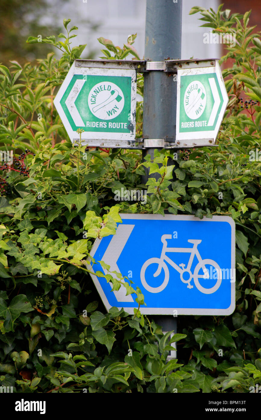 Anzeichen für die Icknield Way und Cycle Route gegen eine Hecke Stockfoto