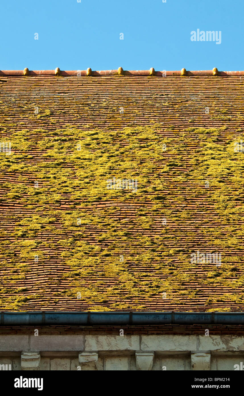 Moos bedeckt roter Tonerde gefliest Kirchendach - Frankreich. Stockfoto