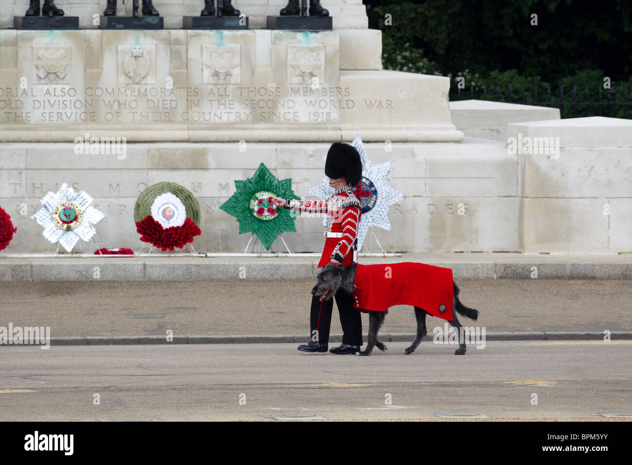 Irish Guards Maskottchen "Conmeal" und seinem Führer, vorbei an Wachen Memorial, Horse Guards Parade, bei "Trooping die Farbe" 2010. Stockfoto