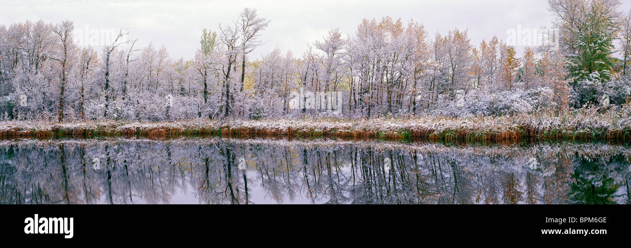 Waterton Lakes Nationalpark, Kanadische Rocky Mountains, Alberta, Kanada - früh Schneefall / Schneefall im Herbst / Herbst, Panoramablick Stockfoto