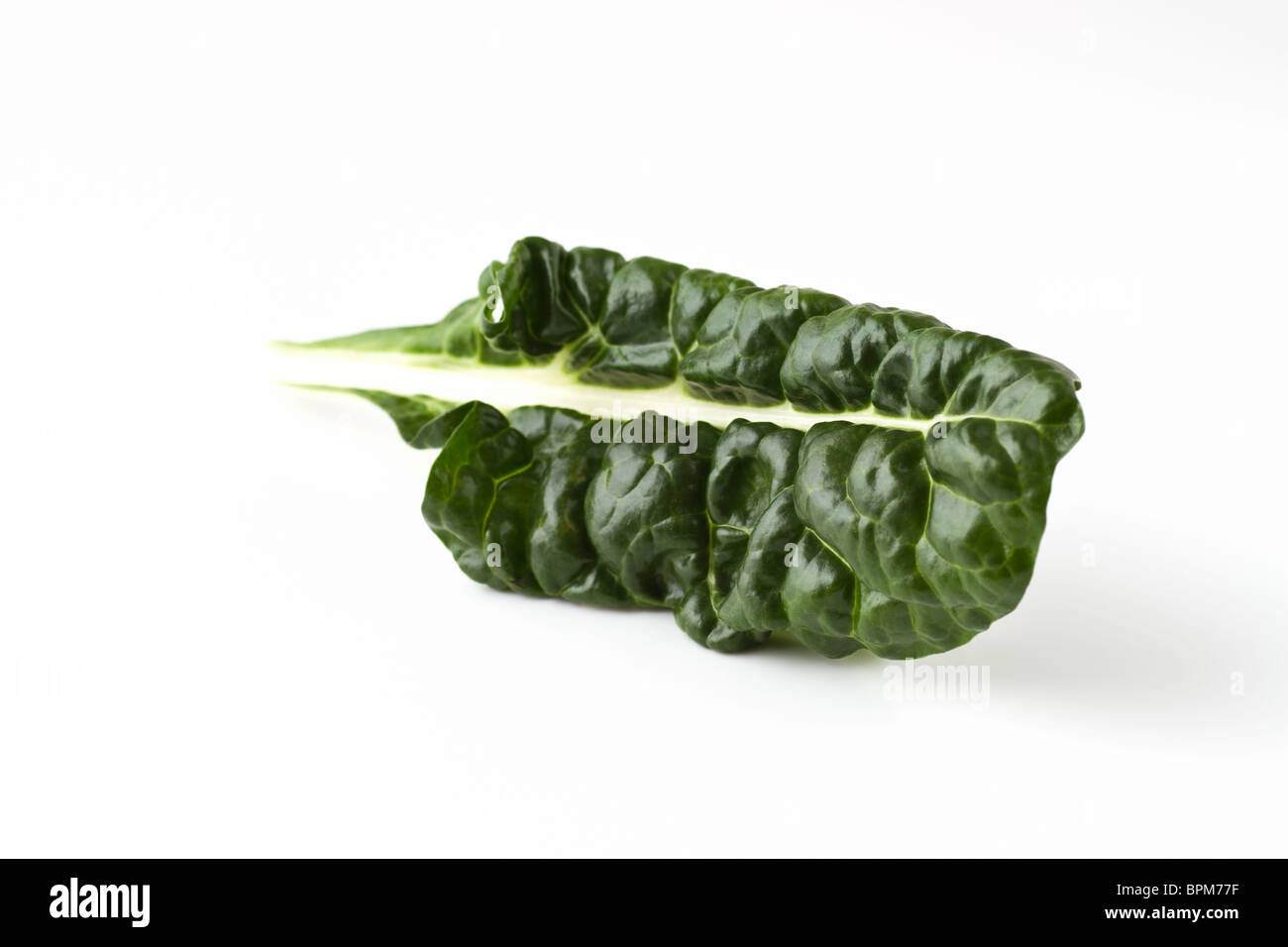 Silverbeet Stockfoto