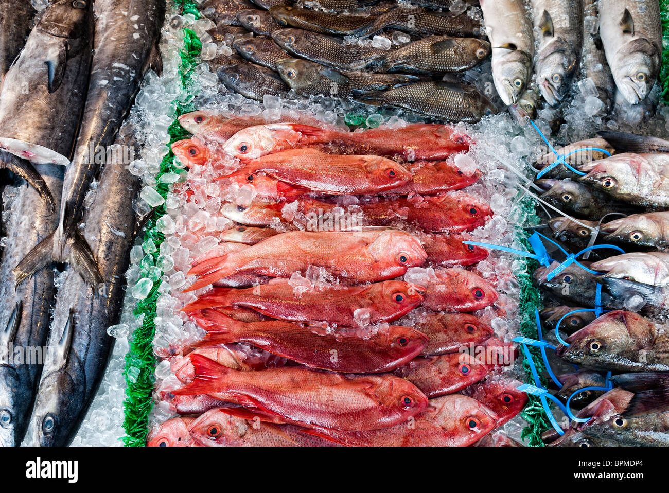 Red Snapper zum Verkauf Maine Avenue Fish Market Washington DC // WASHINGTON DC: Der Markt, auch bekannt als Wharf Fish Market, ist einer der ältesten, kontinuierlich operierenden Open-Air-Fischmärkte in den Vereinigten Staaten und stammt aus dem Jahr 1805. Die Händler auf dem Markt bieten eine Vielzahl an frischen Meeresfrüchten, darunter Fisch, Krabben, Austern und andere Meeresspezialitäten aus der Region Chesapeake Bay und darüber hinaus. Der historische Markt ist nach wie vor ein beliebtes Ziel für Einheimische und Touristen, die frische Meeresfrüchte in der na suchen Stockfoto