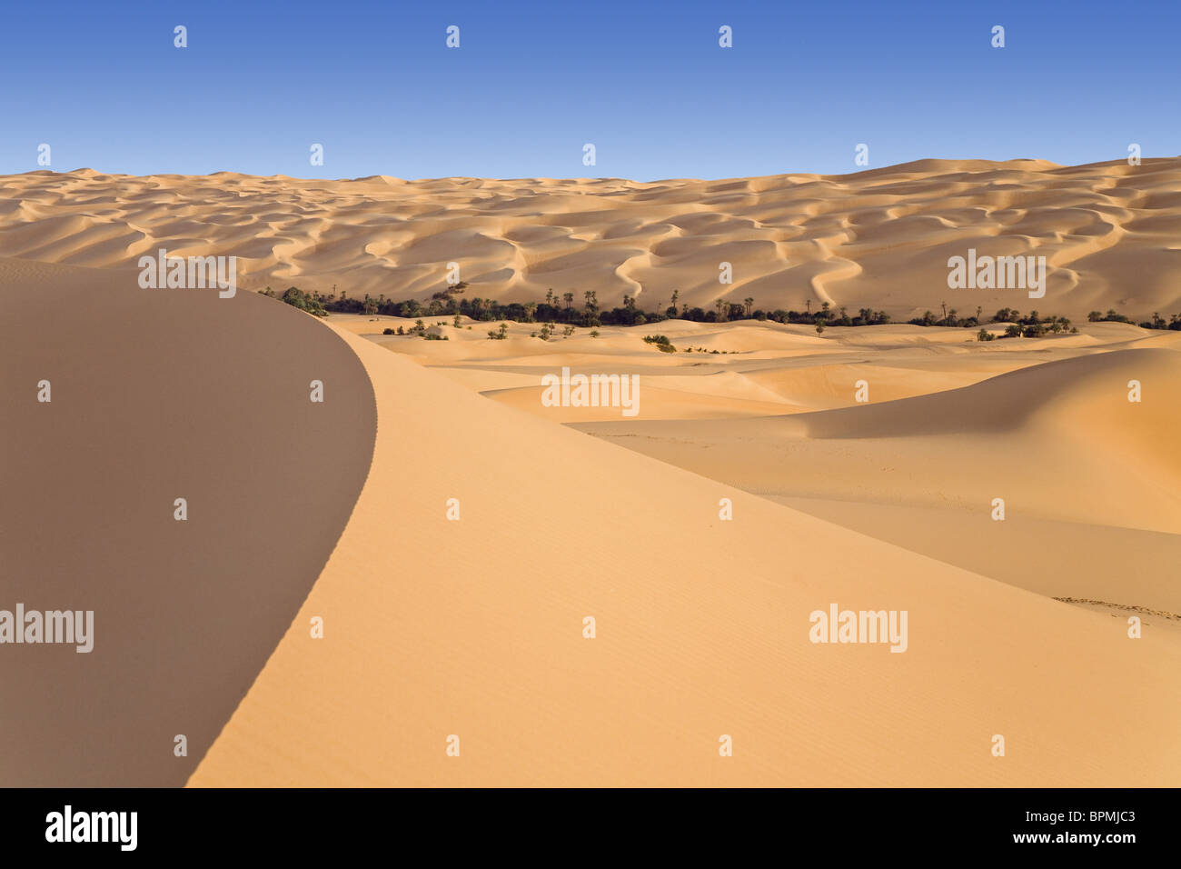 Umm el-Ma-Oase und Dünen, libysche Wüste, Libyen, Sahara, Afrika Stockfoto Umm el-Ma-Oase und Dünen, libysche Wüste, Libyen, Sahara, Afrika Stockfoto