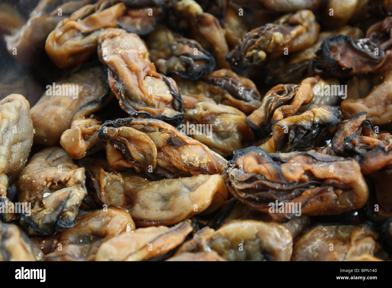 trockenen Auster Meeresfrüchte Stockfoto