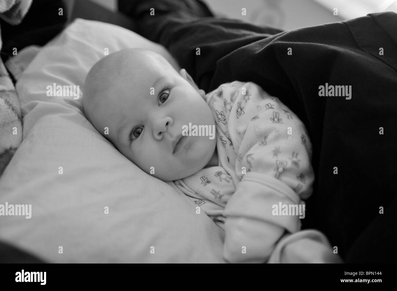 Drei Monate altes Baby in einem großen Bett ruhen Stockfoto