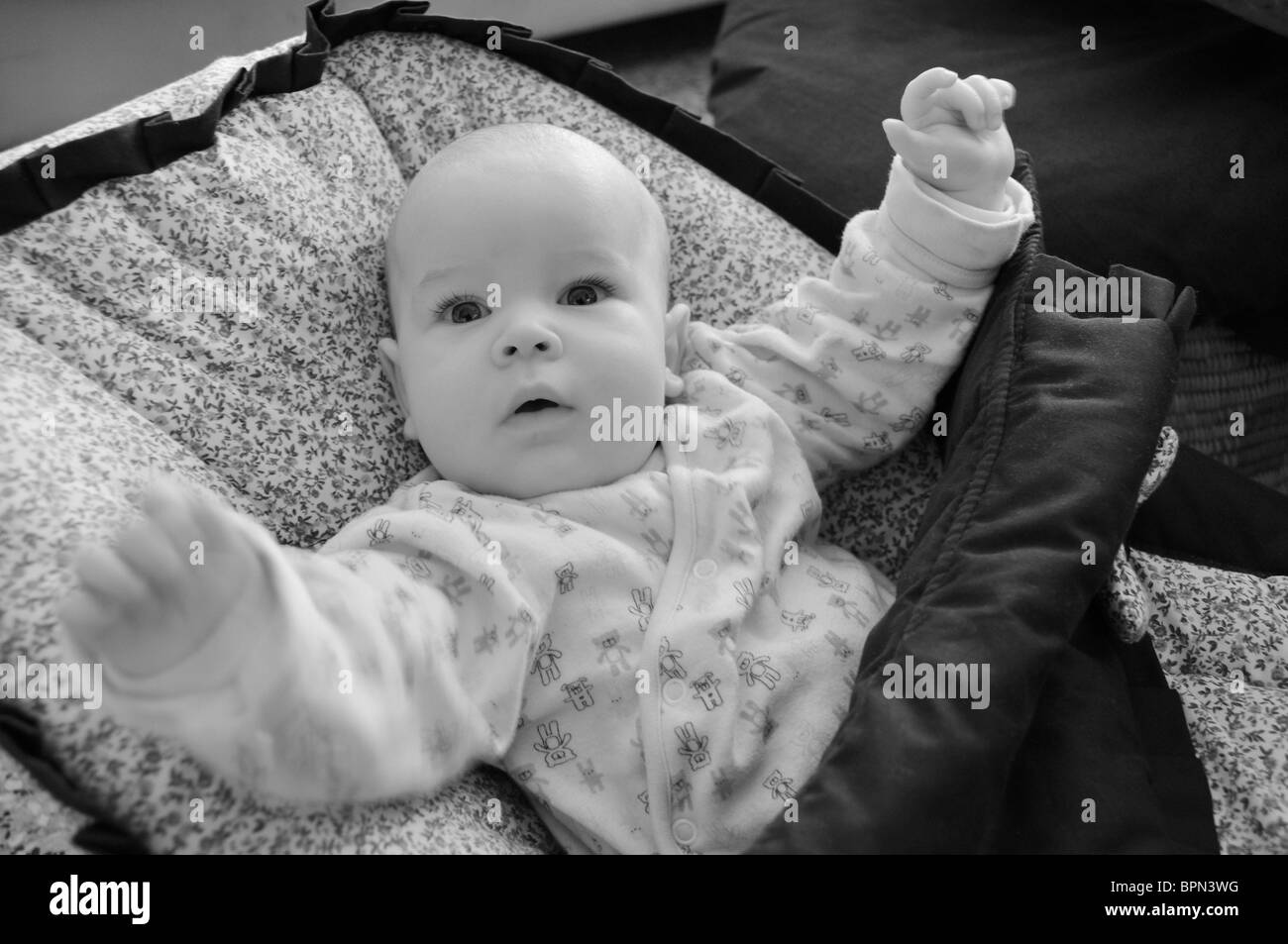 Vier Monate altes Baby in seinem Kinderwagen Stockfoto