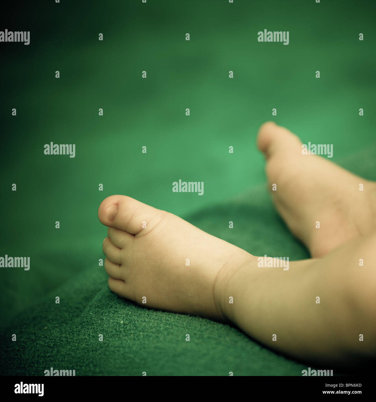 Neugeborenes Baby Beine auf grüne Decke. Stockfoto